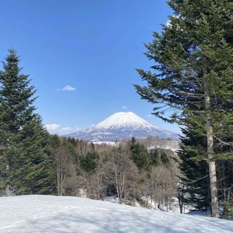 370207226_257903356911879_2664041420787247098_n