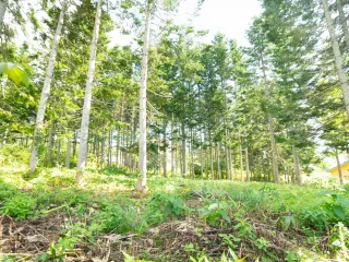 Annupuri Residences Lot #1 (2)